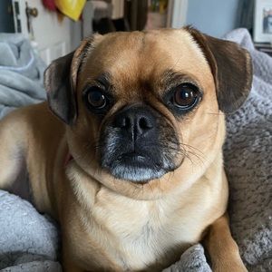 Meet your Posher, Lisa